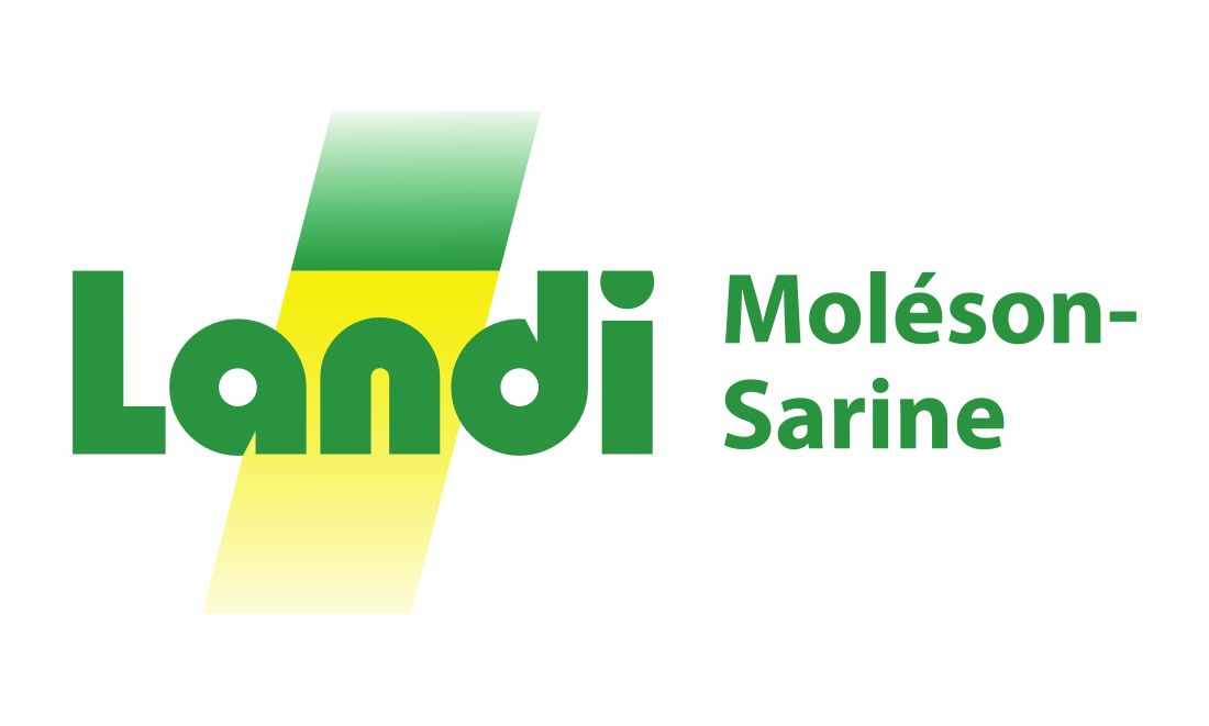 Landi